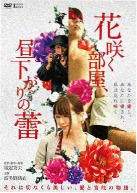 雾港谜案 悬疑刑侦剧剧集海报